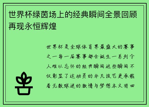 世界杯绿茵场上的经典瞬间全景回顾再现永恒辉煌